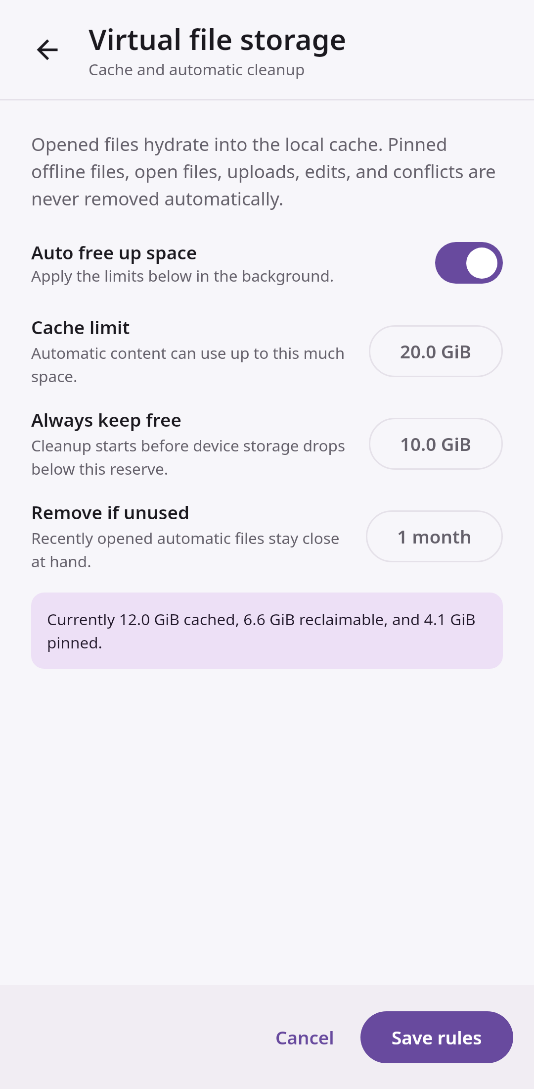 Virtual files Storage rules: Automatic cleanup with protected pins
